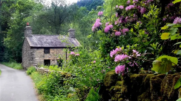 Glan Lledr, Dolwyddelan
