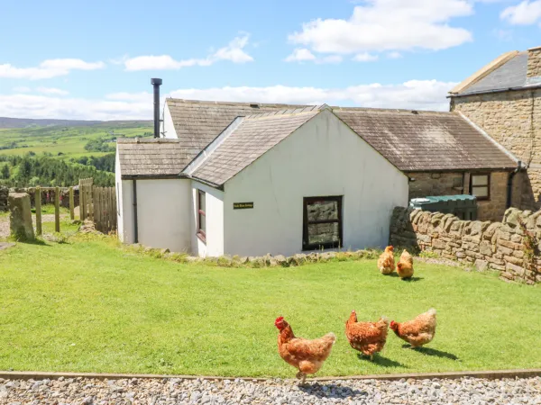 Dale View Cottage, Allendale