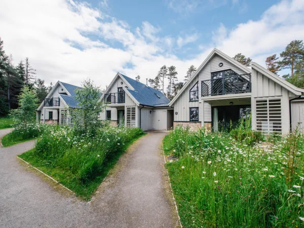 Wildcat Lodge, Aviemore