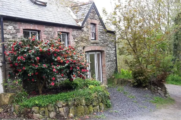 Cwmbrandy Cottage, Fishguard