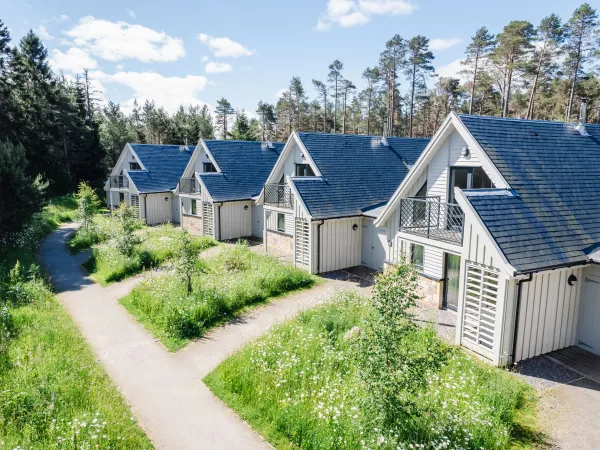 Osprey Apartment, Aviemore