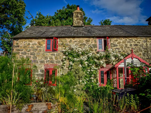 Bwthyn Dyfi, Cemmaes