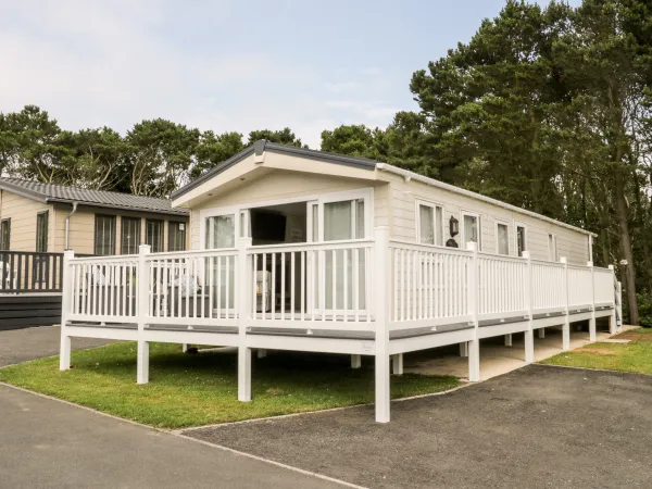 The Rodley Pines, Cayton