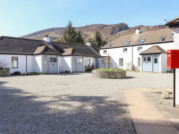 Ash, Newtonmore