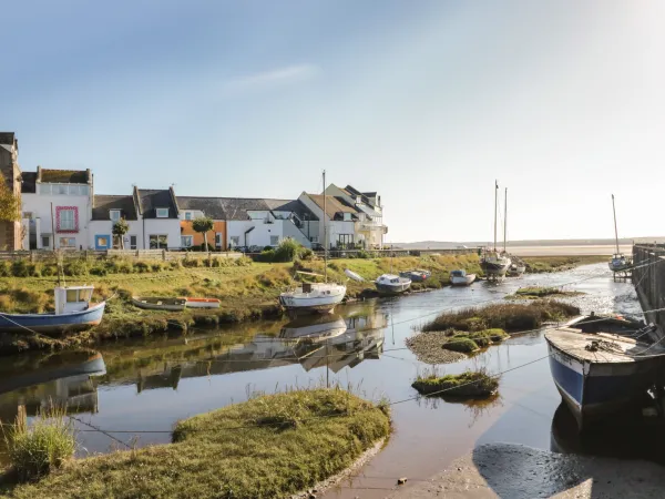 Harbour View Image 1