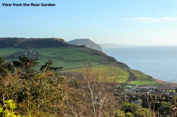 Dolphins Leap, Charmouth