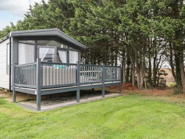 Finch 59, Cayton