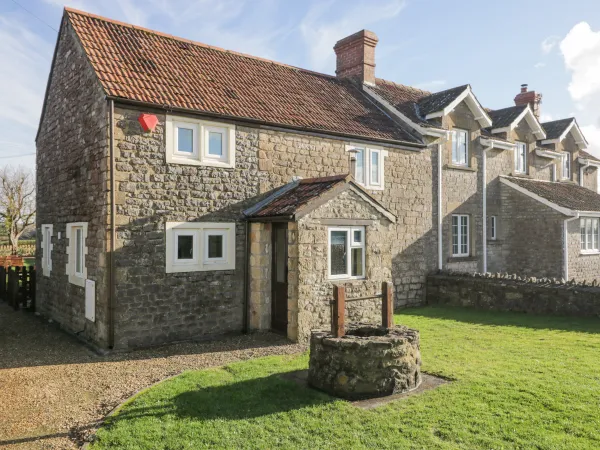 26 Tansey Image 1