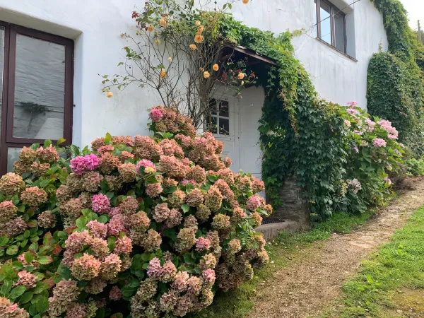 Lower Mill, Dittisham
