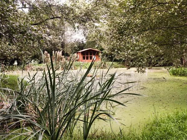 High Park Barn, Uffculme
