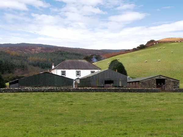 Homestone Farm, Campbeltown
