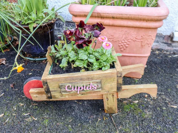 Cupid's Cottage, Bridlington