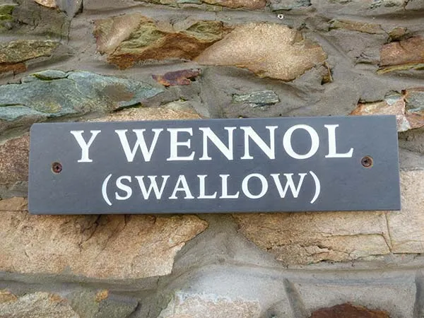Y Wennol, Holyhead