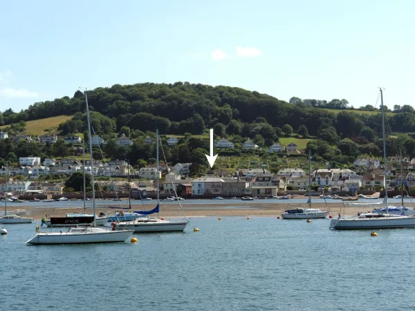The Dolphins, Shaldon