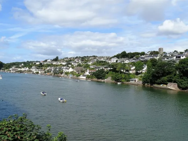 Junket Studio, Noss Mayo