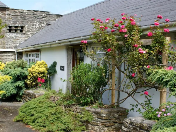 Plover Cottage, Tintagel