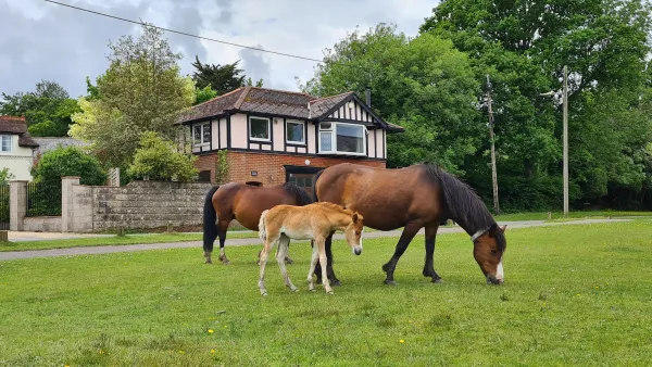 Highway Cottage, Brockenhurst