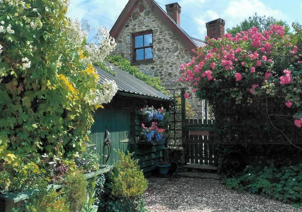 Little Leywood, Cotleigh