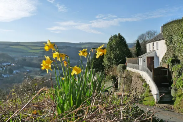 Sunrise Cottage, Ilfracombe