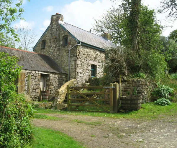 Penfeidr Newydd, Newport