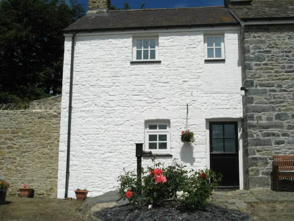 Ty Paer, New Quay