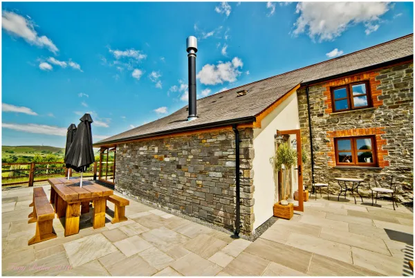 Llwyn Teifi, Tregaron