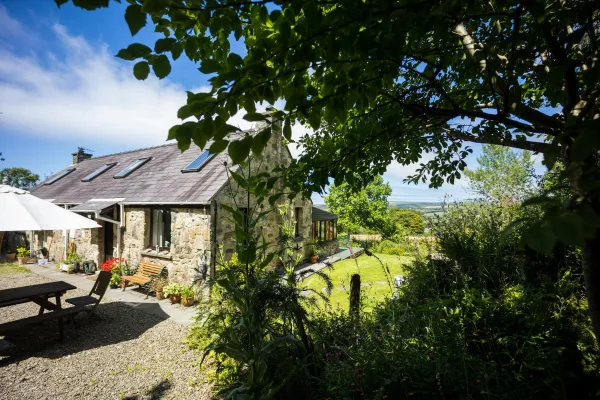 Nant-y-Blodau Newydd, Newport
