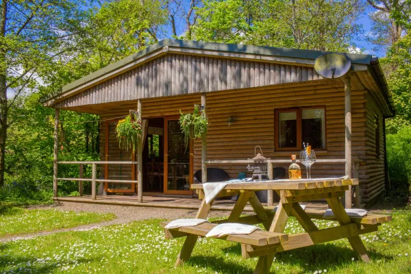 Fiddlers Green Log Cabin, Tenby