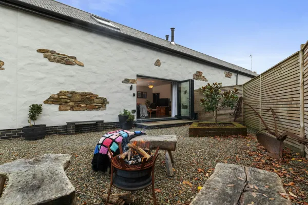 Cedar, Haverfordwest
