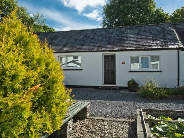Wrens Nest, Newcastle Emlyn