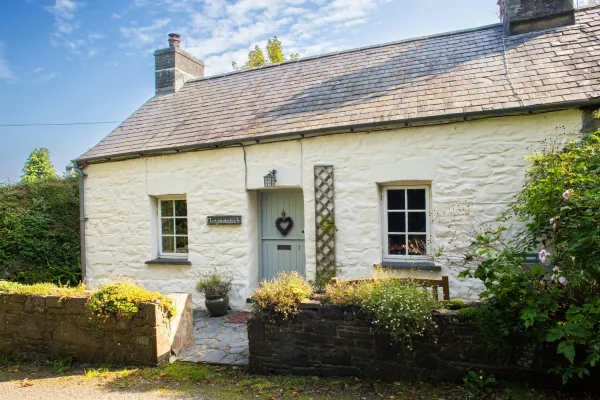 Nantyblodau Bach, Newport