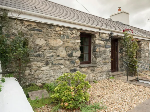 Dyfed, Newport